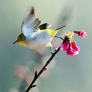 Meet your Posher, Bria